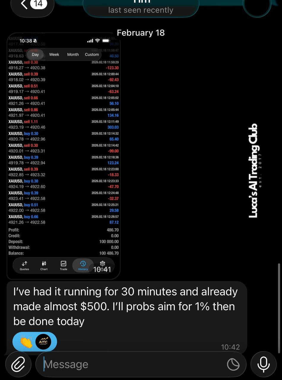 Member ran AI for 30 minutes and made almost $500